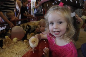 Anna is 2.5 & the chick is a baby