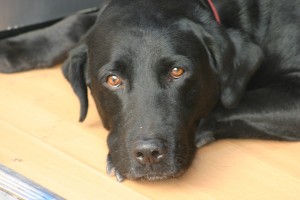 Jake, 14 years old