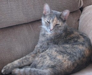 Sophie, 2 years