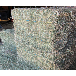 Alfalfa Hay Bales