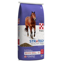 Purina Strategy Healthy Edge Horse Feed. Purple and white feed bag. Brown horse.