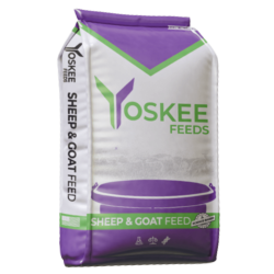 Purple, green and white bag of Yoskee Feed's Sheep & Goat Feed