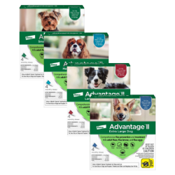 Advantage II Flea Spot Treatment for Dogs 4 dose packs