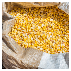 Deer Corn. Yellow, whole kernel corn. Corn for feeding wildlife and deer.