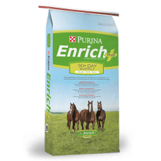 Purina Enrich Plus Ration Balancing Horse Feed. Green and blue feed bag.