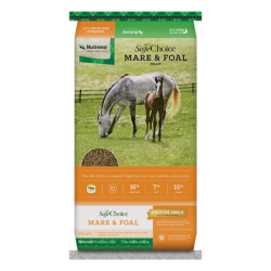 Nutrena SafeChoice Mare & Foal Free Horse Feed. Colorful equine feed bag.
