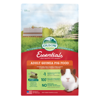 Oxbow Essentials Adult Guinea Pig Food | New Braunfels Feed & Supply red and green bag of Oxbow Essentials Adult Guinea Pig Food with guinea pig pictured