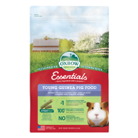 Oxbow Essentials Young Guinea Pig Food | New Braunfels Feed & Supply red and green bag of Oxbow Essentials Young Guinea Pig Food with guinea pig pictured