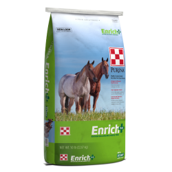 Purina Enrich Plus Ration Balancing Horse Feed. Green and blue feed bag.