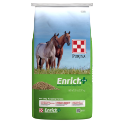 Purina Enrich Plus Ration Balancing Horse Feed. Green and blue feed bag.