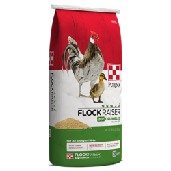 Purina Flock Raiser Crumbles. Red, white and green poultry feed bag. Hen and chick.