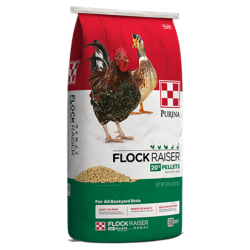 Purina Flock Raiser Pellets. Red, white and green poultry feed bag. Hens.