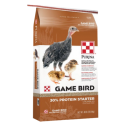 Purina Game Bird 30% Protein Starter. Brown and white feed bag. Young game birds.