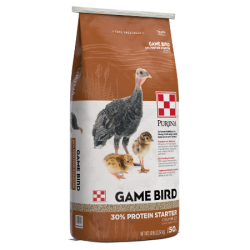 Purina Game Bird 30% Protein Starter. Brown and white feed bag. Young game birds.