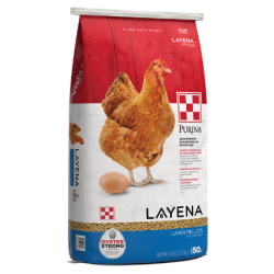Purina Layena Pellets. Red, white and bright blue poultry feed bag. Red chicken with egg.