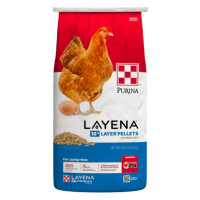 Purina Layena Pellets. Red, white and bright blue poultry feed bag. Red chicken with egg.