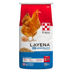 Purina Layena Pellets. Red, white and bright blue poultry feed bag. Red chicken with egg.