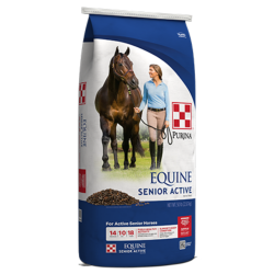 Purina Equine Senior Active Horse Feed. Blue and white feed bag.