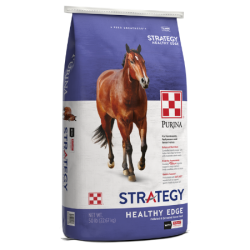 Purina Strategy Healthy Edge Horse Feed. Purple and white feed bag. Brown horse.