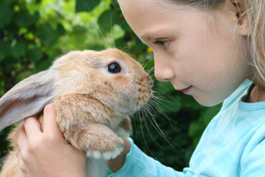 Small Animal Care Class