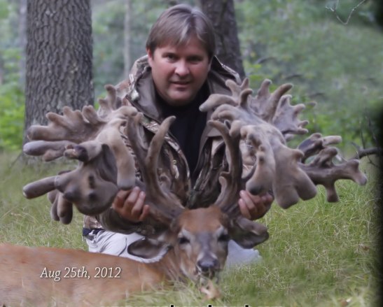 biggest whitetail deer ever seen