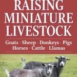 raising miniature livestock
