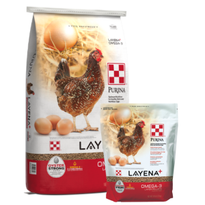 Purina Layena+ Omega-3. Chicken feed to help hens produce eggs with more omega-3 fatty acids