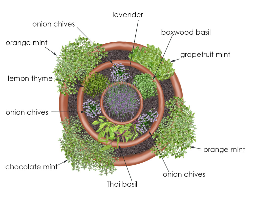 herb-tower-overhead-web