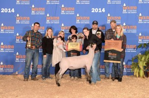 2014-Houston-Livestock-Show-and-Rodeo-Grand-Champion-Market-Lamb-Rachel-ChabotCond