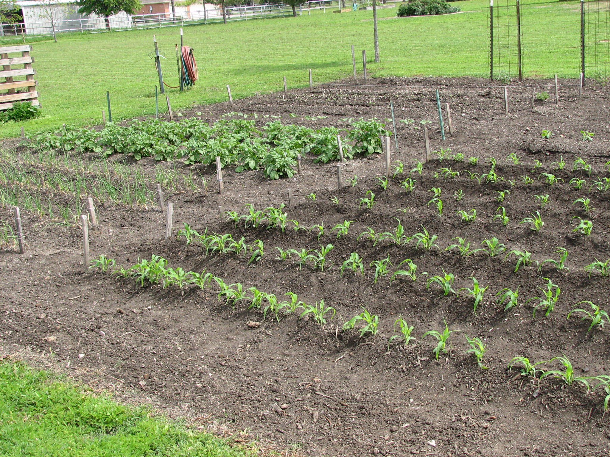 planting a garden