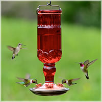 Perky Pet Antique Hummingbird Feeder