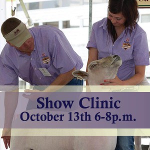 New Braunfels_ShowClinic Graphic