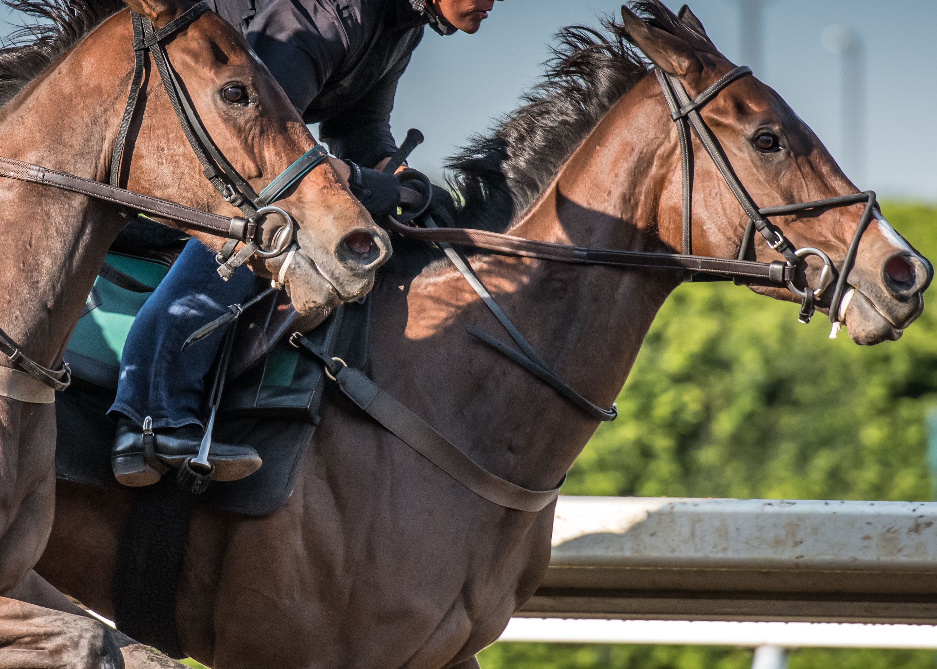 kentucky derby