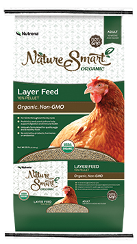 Non-GMO Chicken Feed