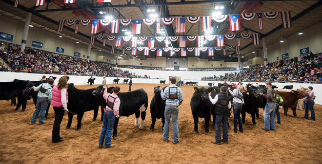 2018-2019 Livestock Shows