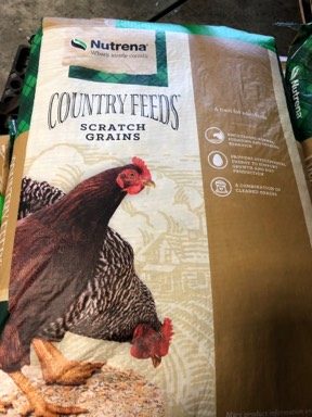 Poultry Drinkers Available at New Braunfels Feed