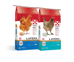 Purina Layena Crumbles & Pellets