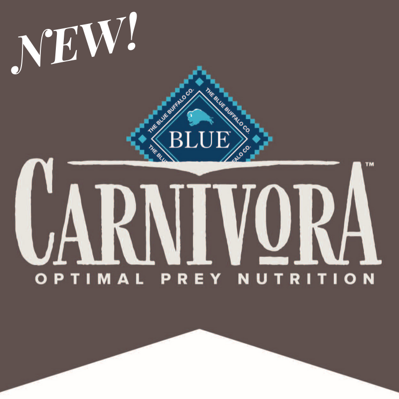 New BLUE Carnivora