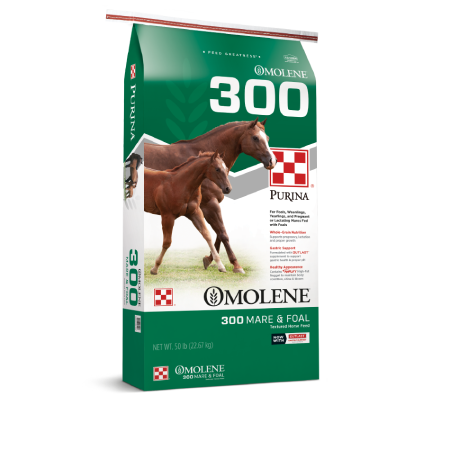 Purina Omolene 300 Horse Feed