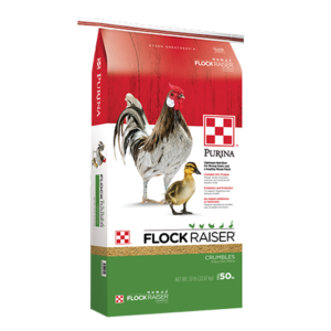 Purina Flock Raiser Crumbles