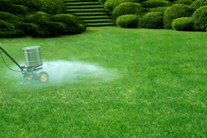 fertilizing lawns