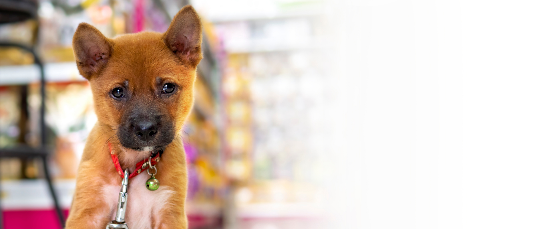 New Braunfels Feed & Supply Your Local Feed & Ranch Supply Store