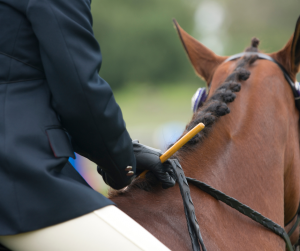 Managing Feeding Programs on the Road for Show Horses: picture is a rider on a brown show horse