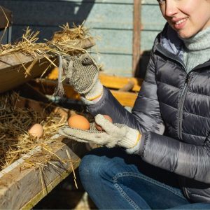 Woman collecting eggs in winter.