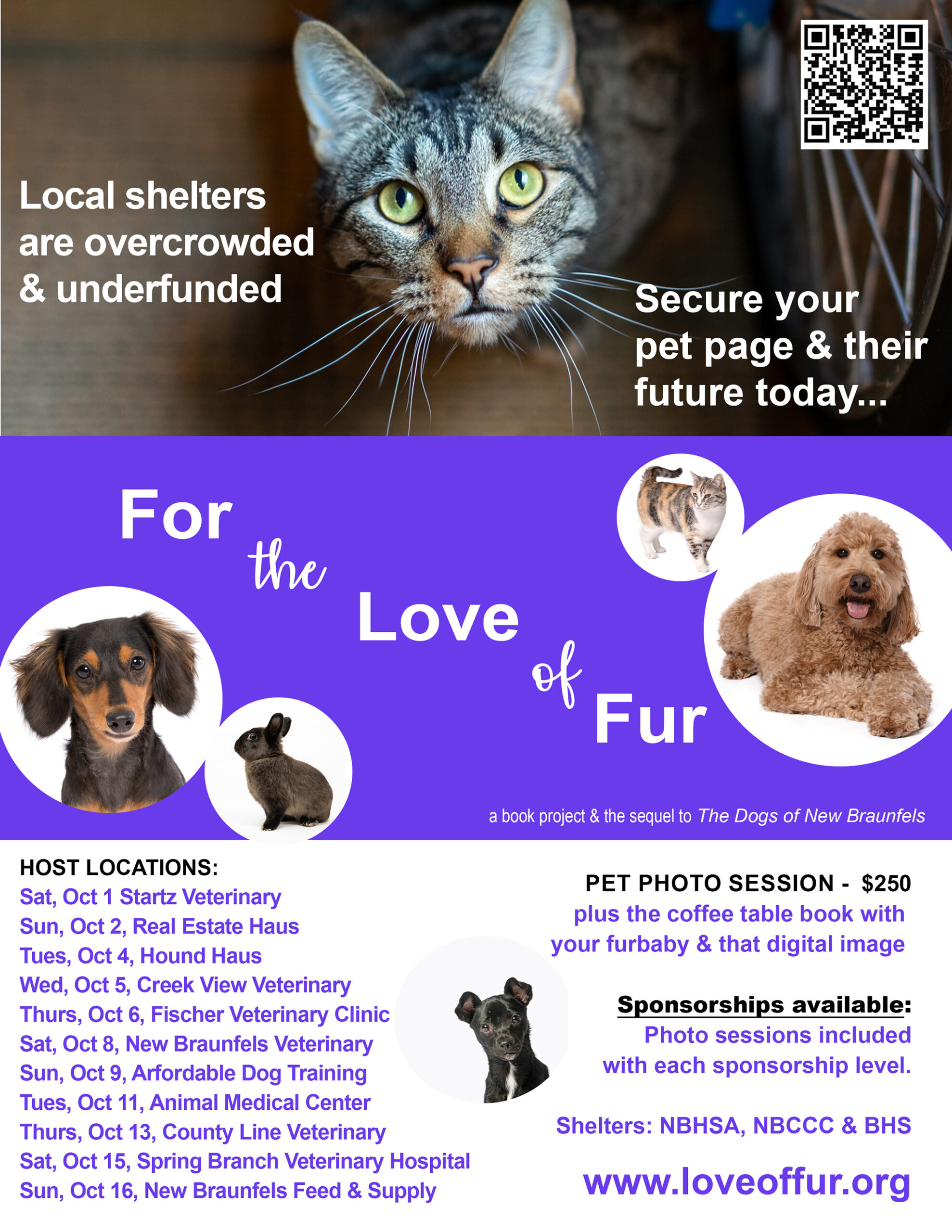 For the Luv of Fur - Pet Photo Sessions - New Braunfels Feed & Supply