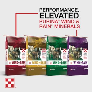 Optimize Mineral Consumption for Each Season. Purina Wind and Rain Cattle Minerals.