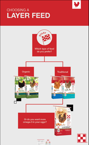 choosing a chicken layer feed diagram