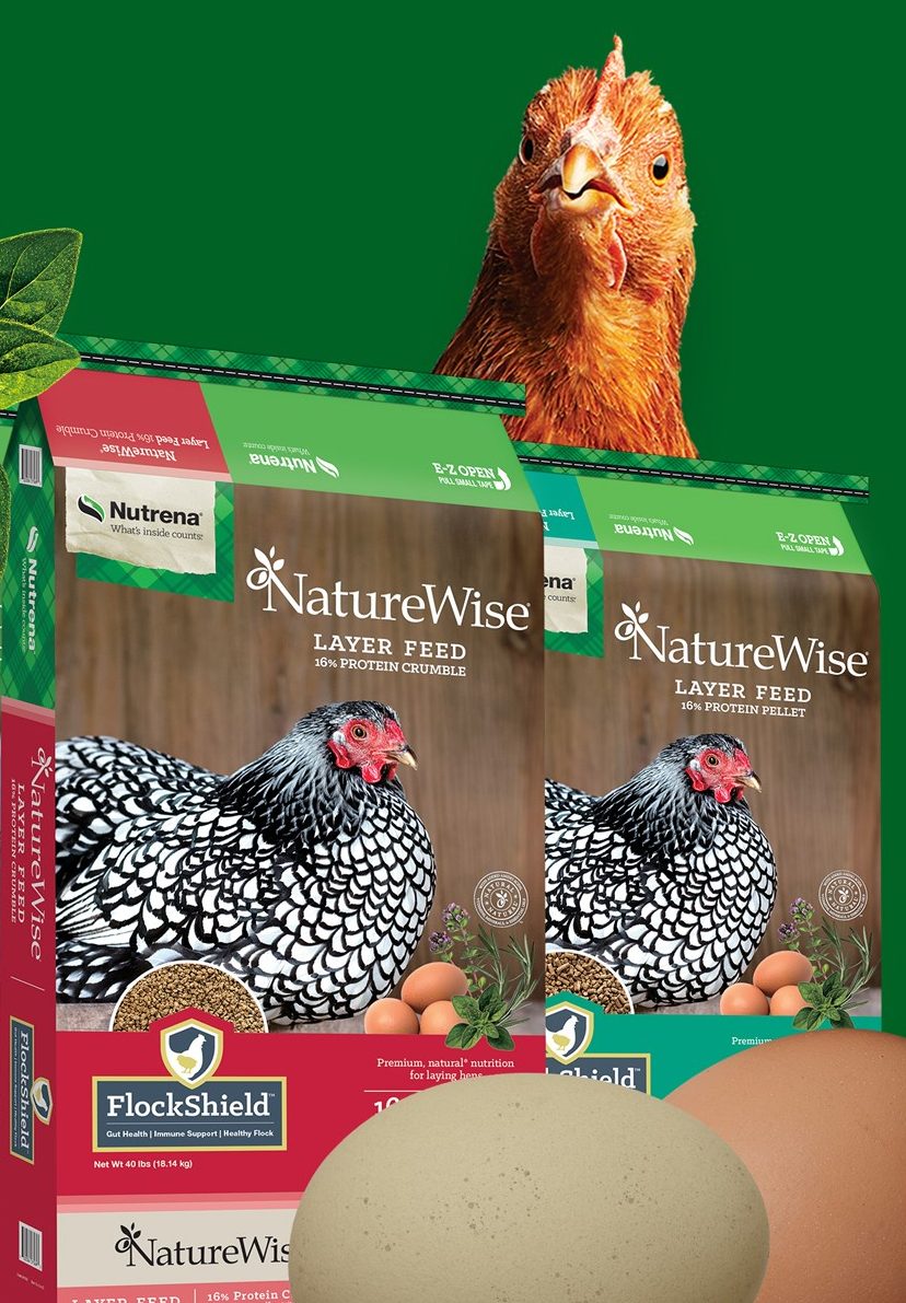 Nutrena Naturewise Poultry Feed