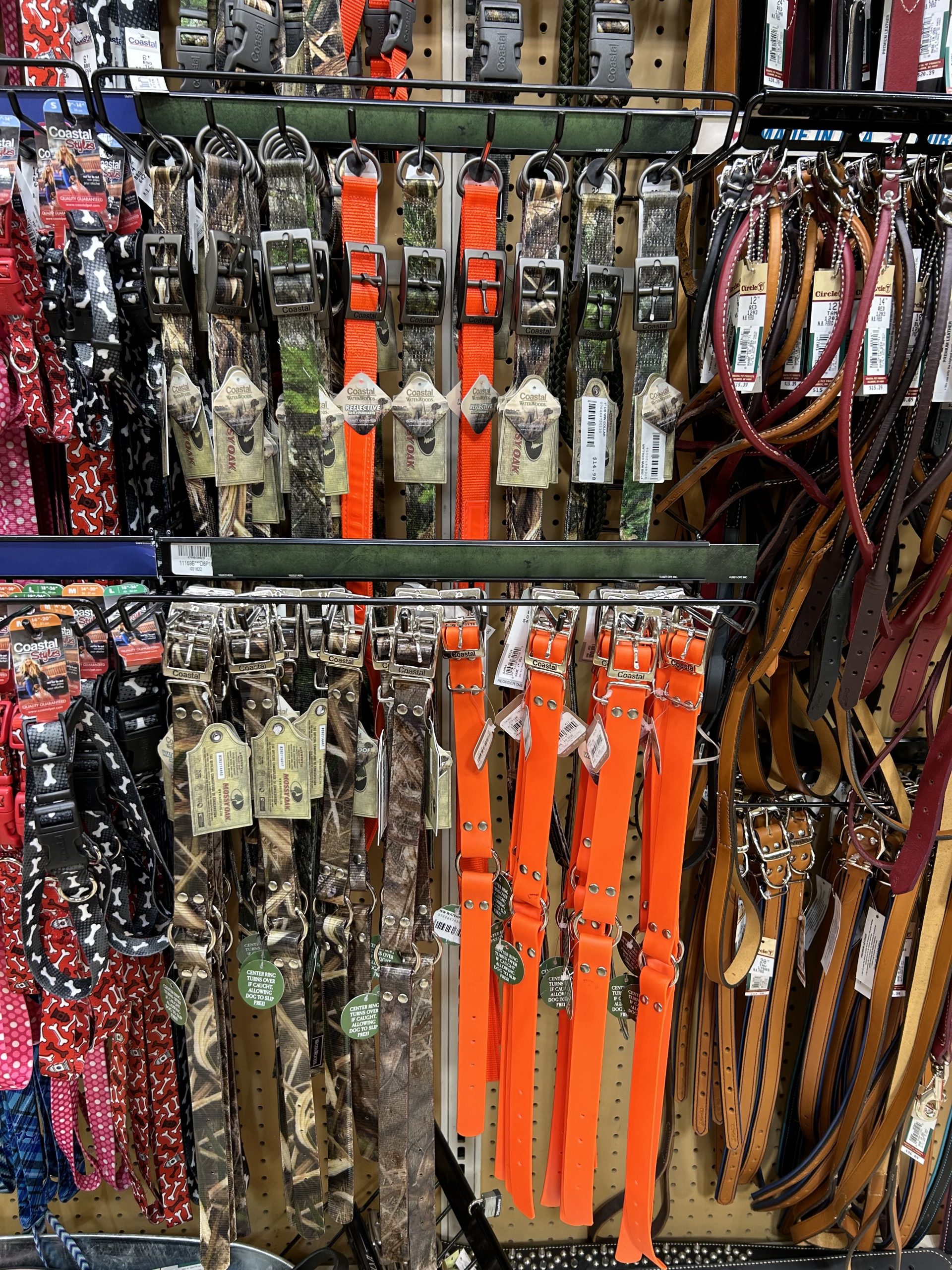 Water proof and hunter approved dog collars and leashes
