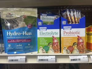 Products on display: Sav-A-Chick Electrolyte (3-pack, $3.99) into water to keep birds hydrated. Add Sav-A-Chick Probiotic (3-pack, $3.19) for gut health. Want a 3-in-1 boost? Manna Pro Hydro-Hen